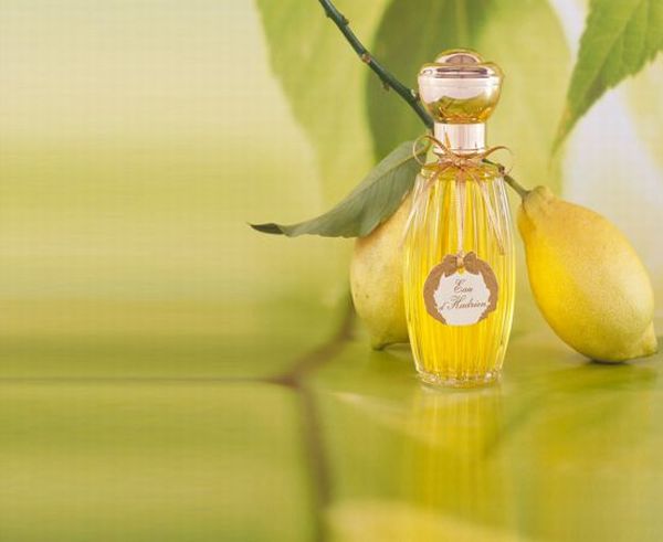 عطر آنیک گوتال