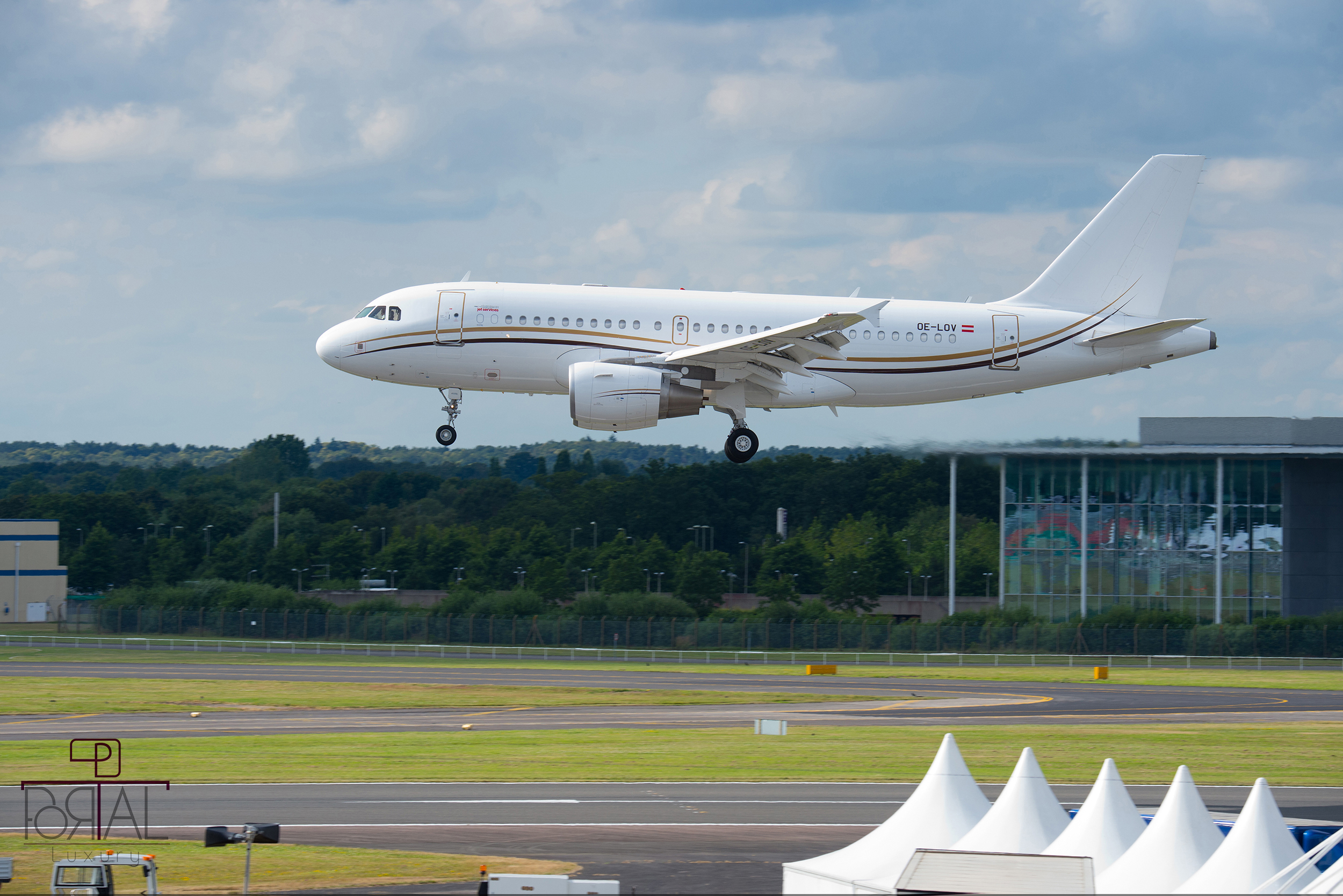 هواپیمای Airbus ACJ319